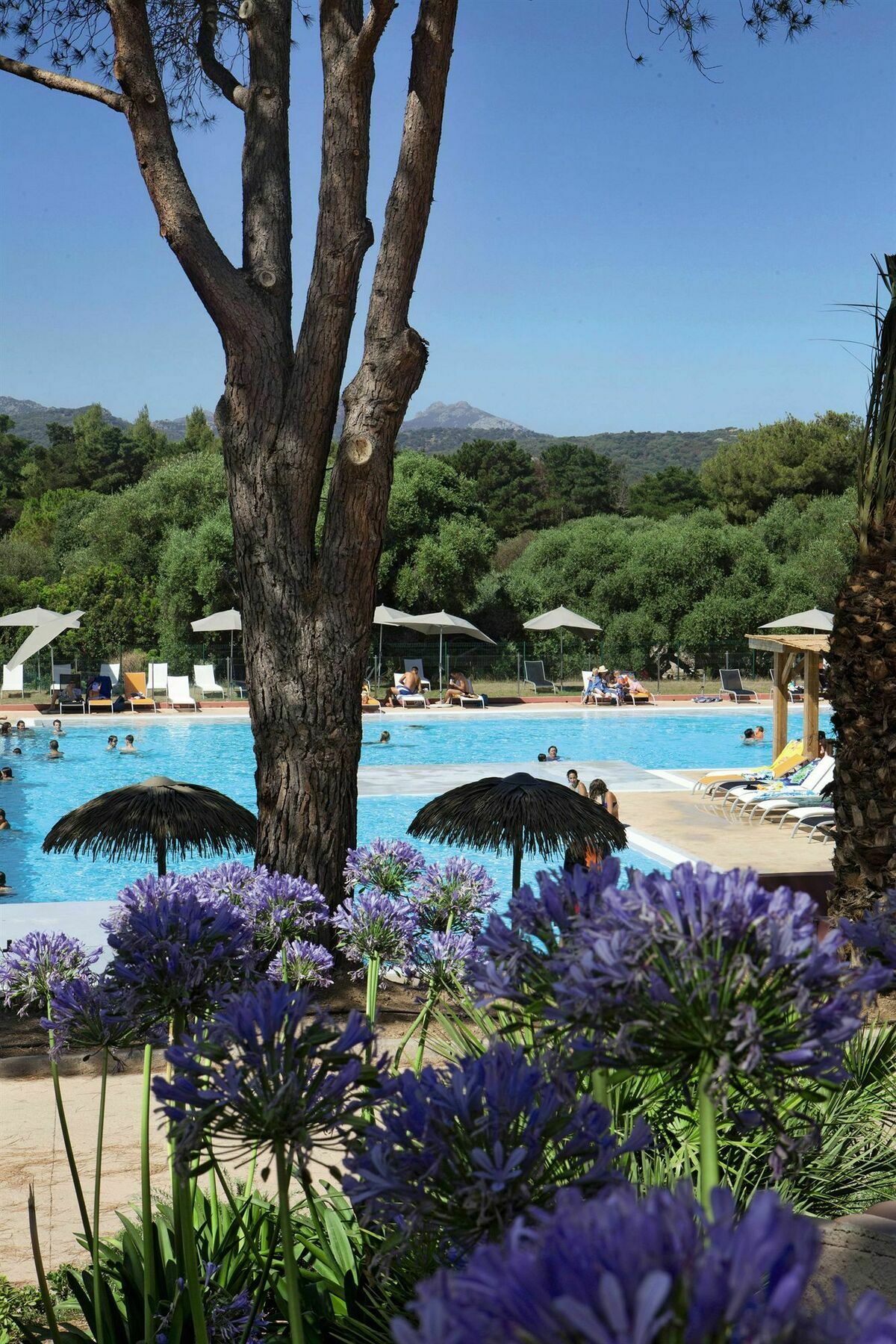 Belambra Clubs Belgodere - Golfe De Lozari Hotel Екстериор снимка